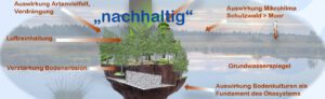 Schaubild zur Bedeutung "nachhaltig" bei Eingriffen in Ökosysteme